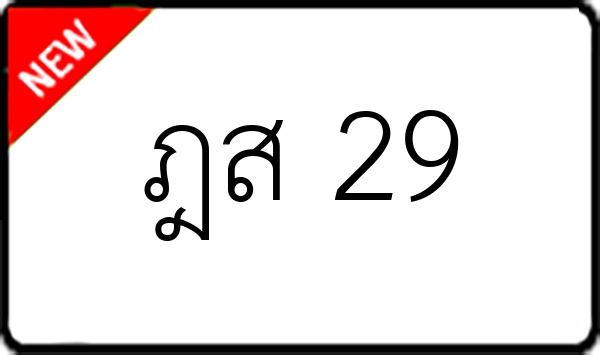 ฎส 29